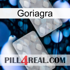 Goriagra 17